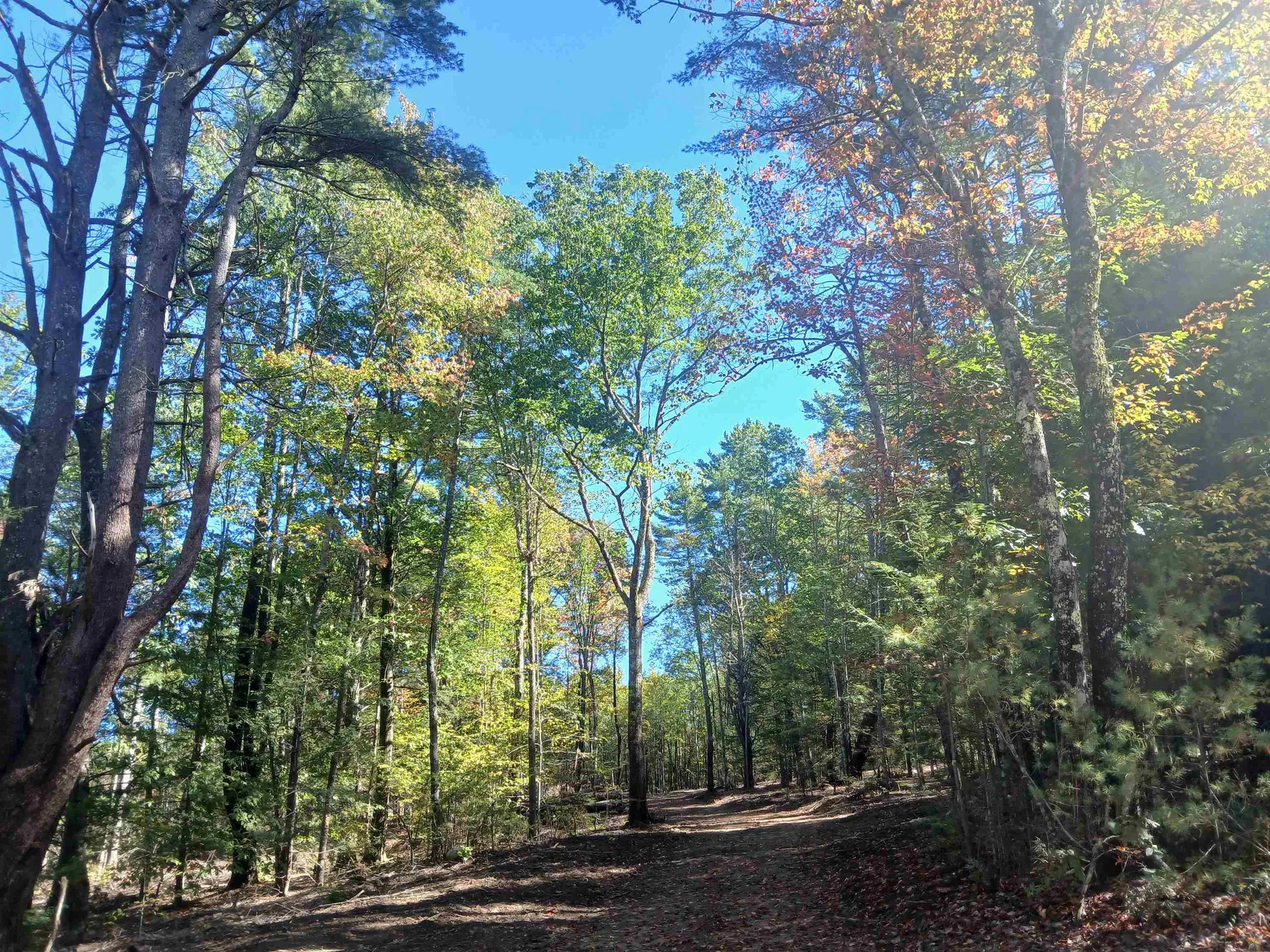 373 Calef Highway Lee NH 03861