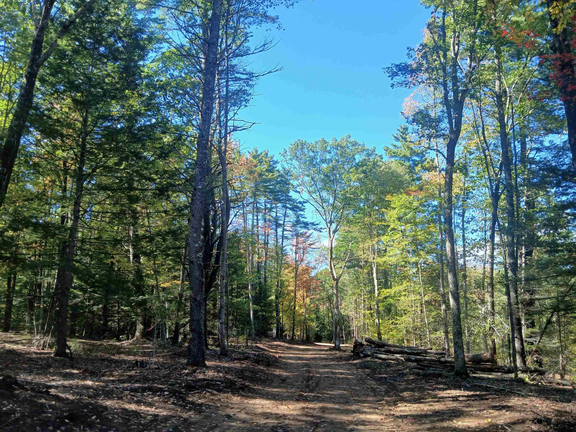 373 Calef Highway Lee NH 03861