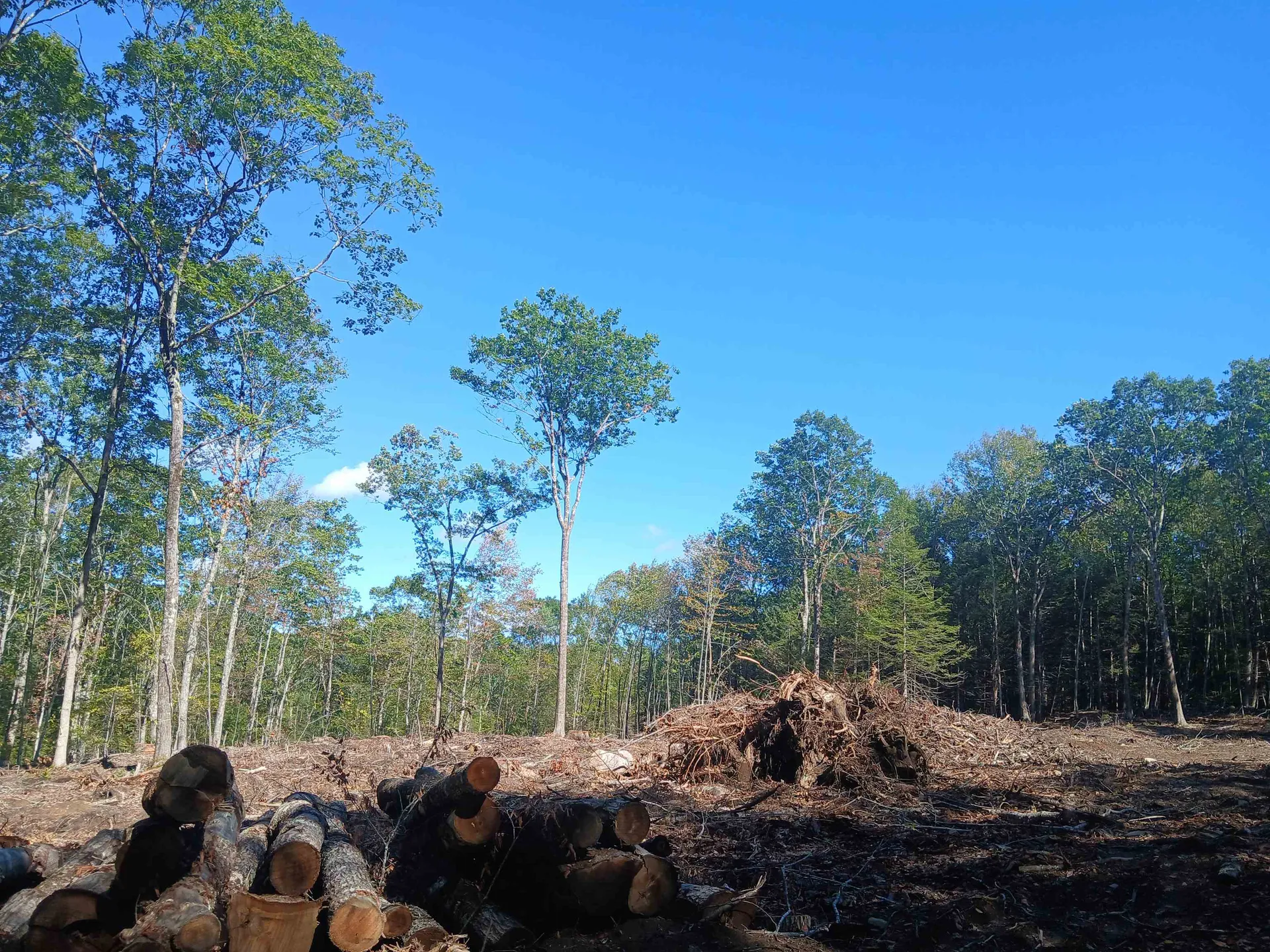 373 Calef Highway Lee NH 03861