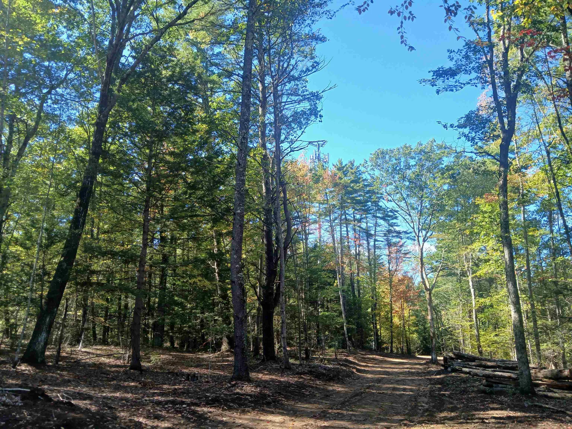 373 Calef Highway Lee NH 03861