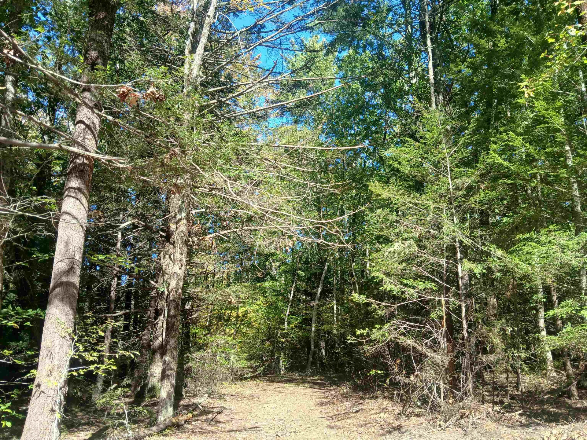 373 Calef Highway Lee NH 03861