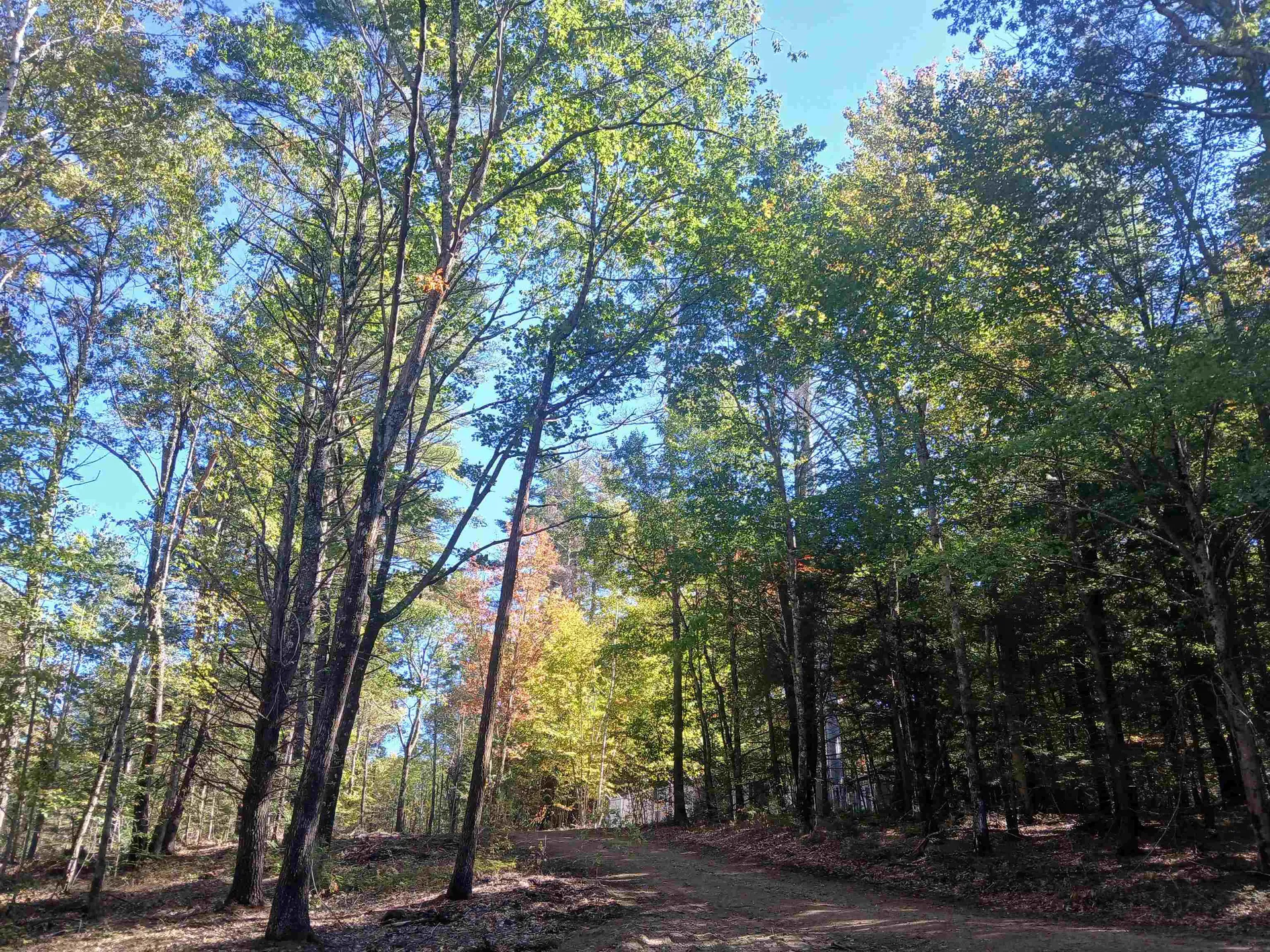 373 Calef Highway Lee NH 03861