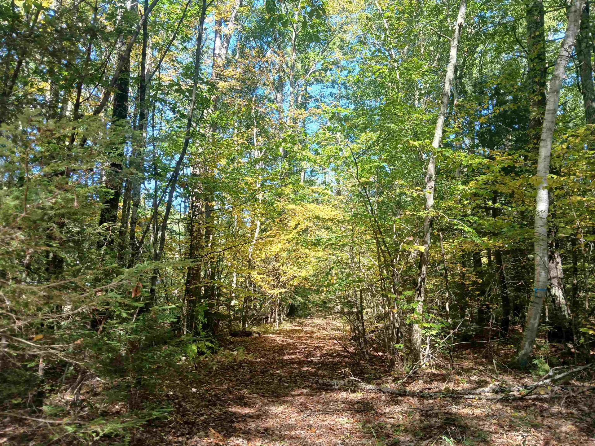 373 Calef Highway Lee NH 03861