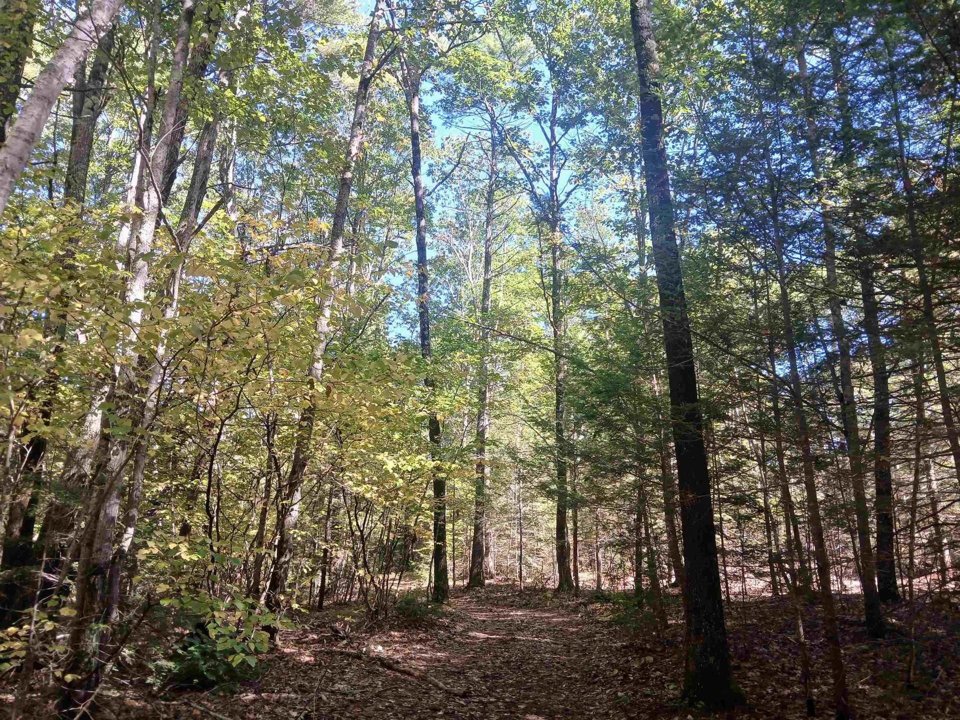 373 Calef Highway Lee NH 03861