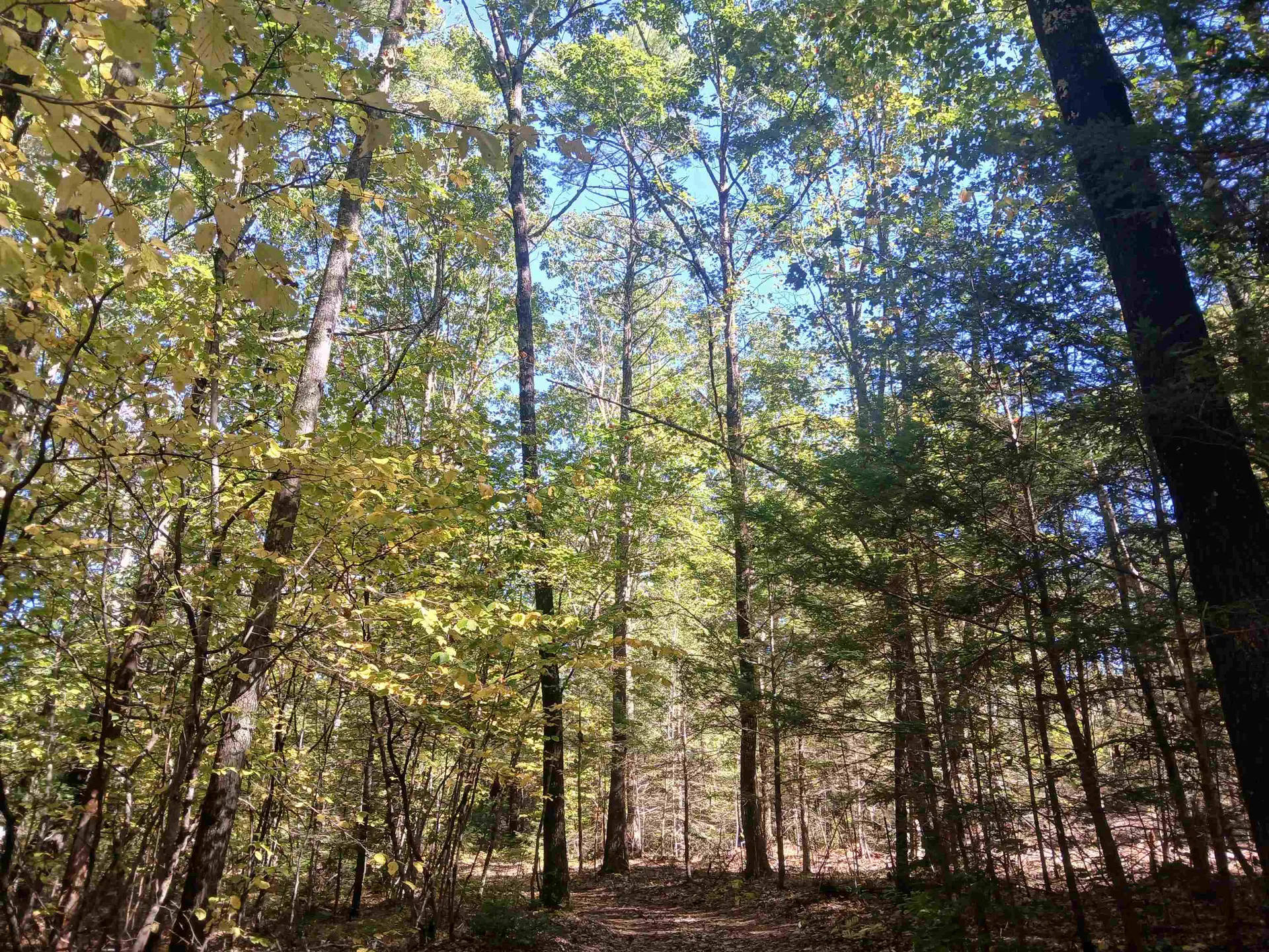 373 Calef Highway Lee NH 03861