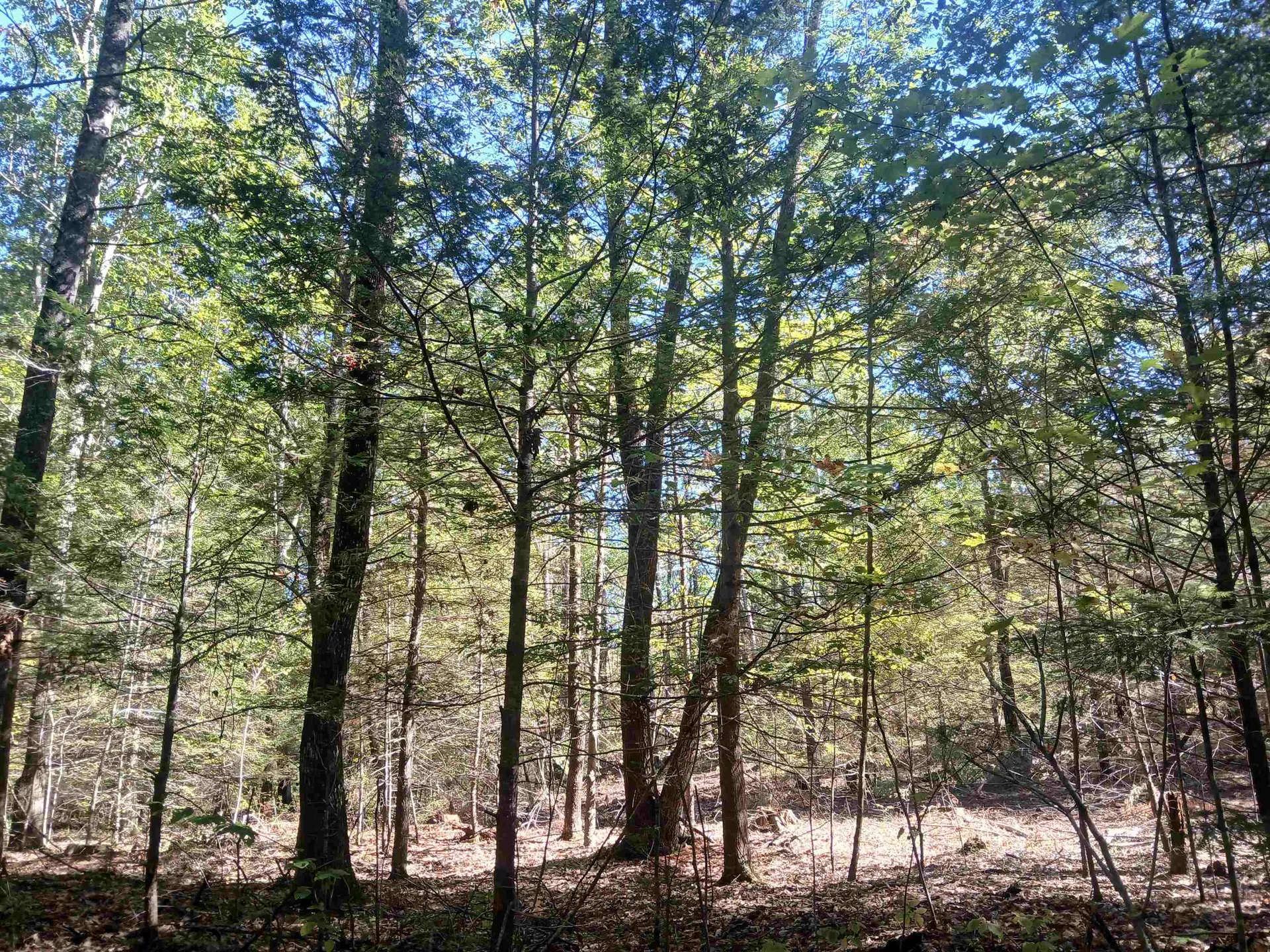 373 Calef Highway Lee NH 03861