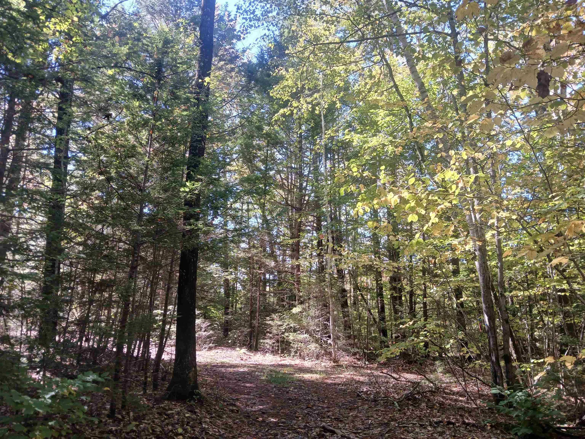 373 Calef Highway Lee NH 03861