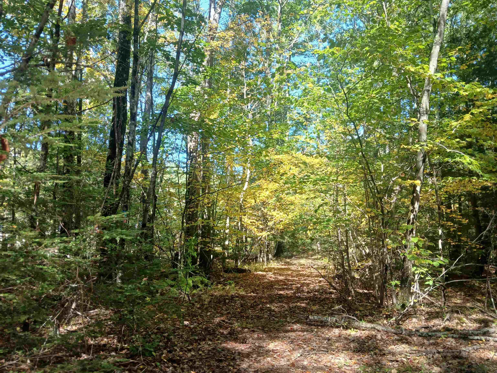 373 Calef Highway Lee NH 03861