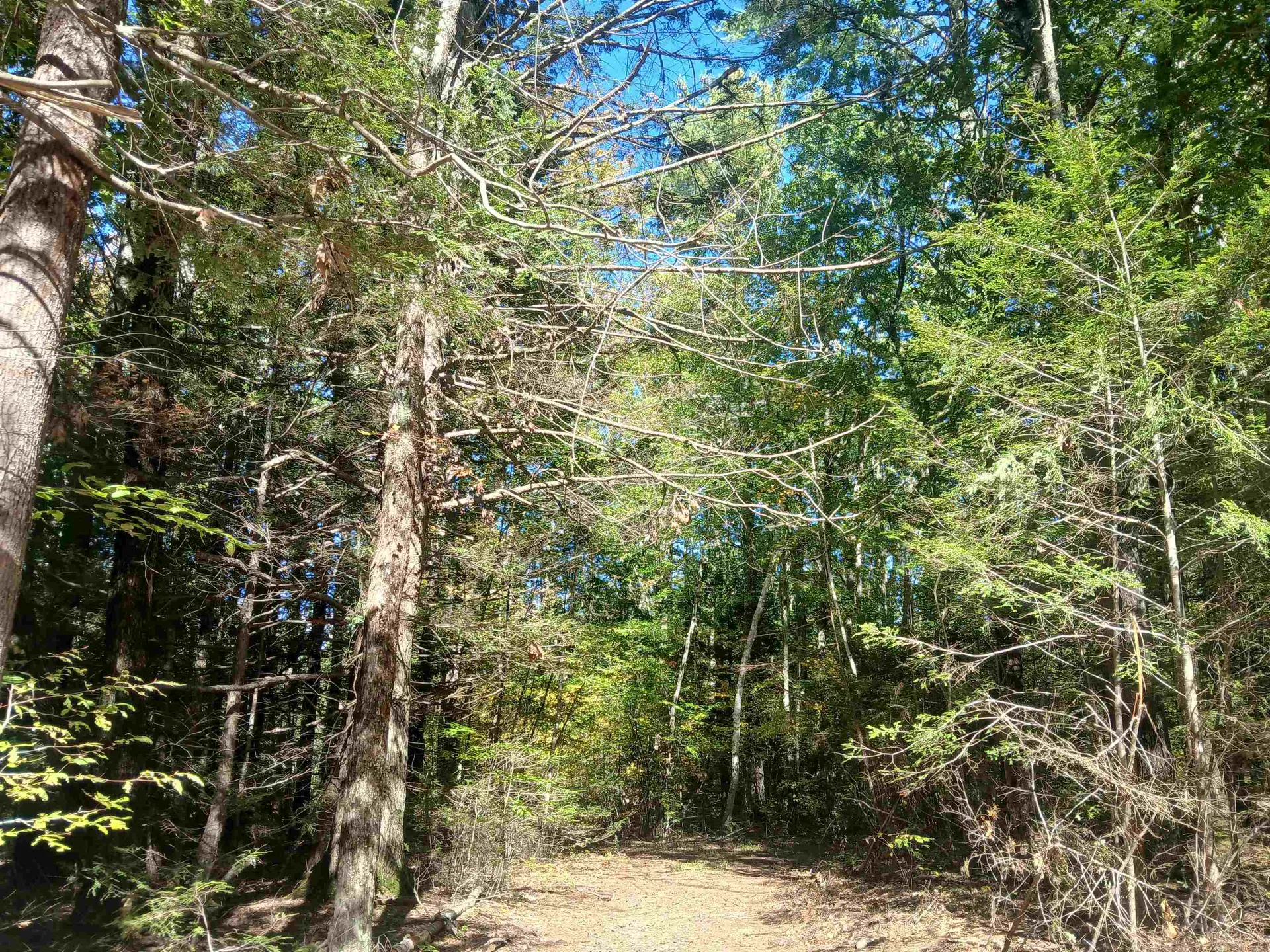 373 Calef Highway Lee NH 03861