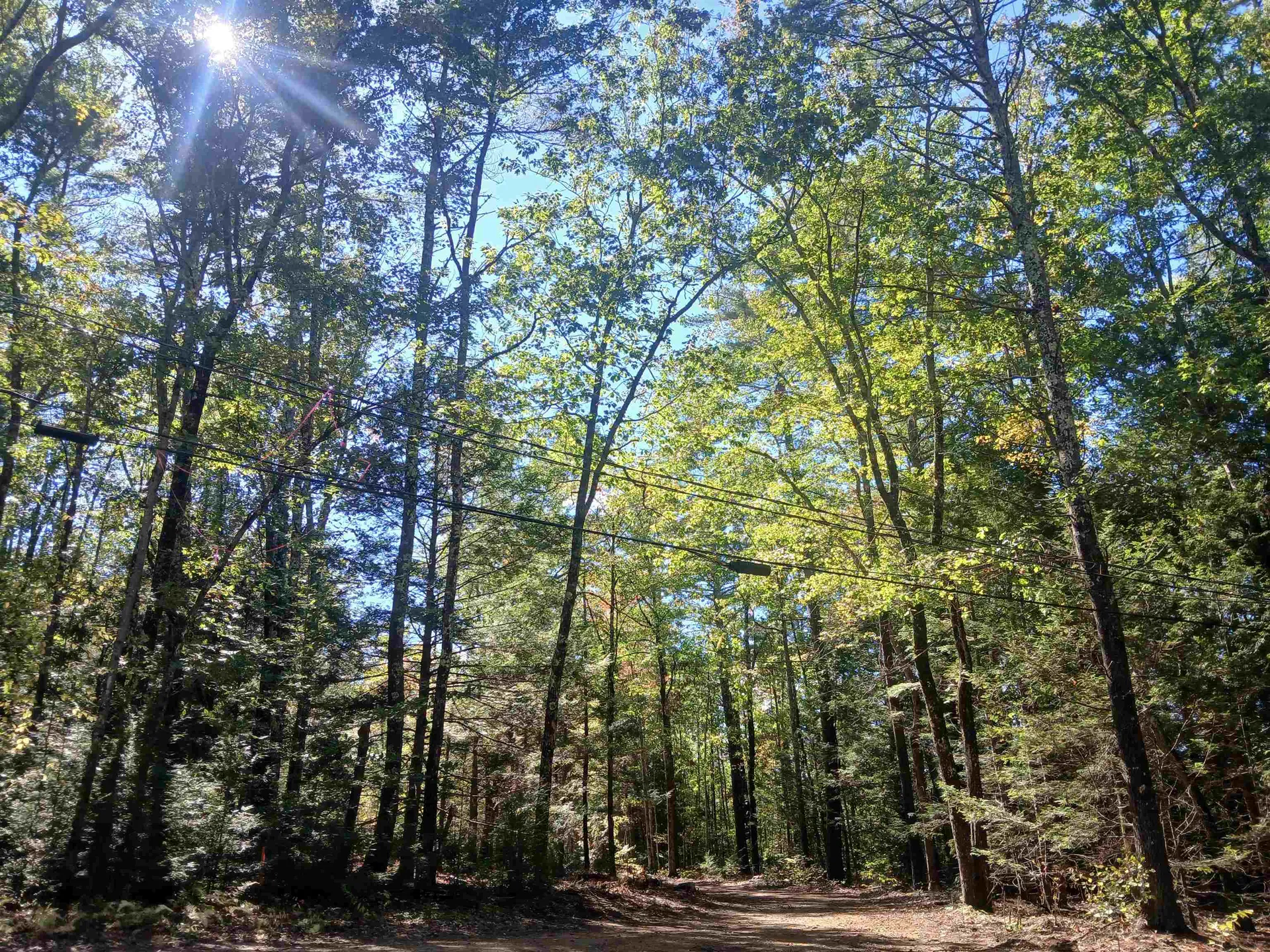 373 Calef Highway Lee NH 03861