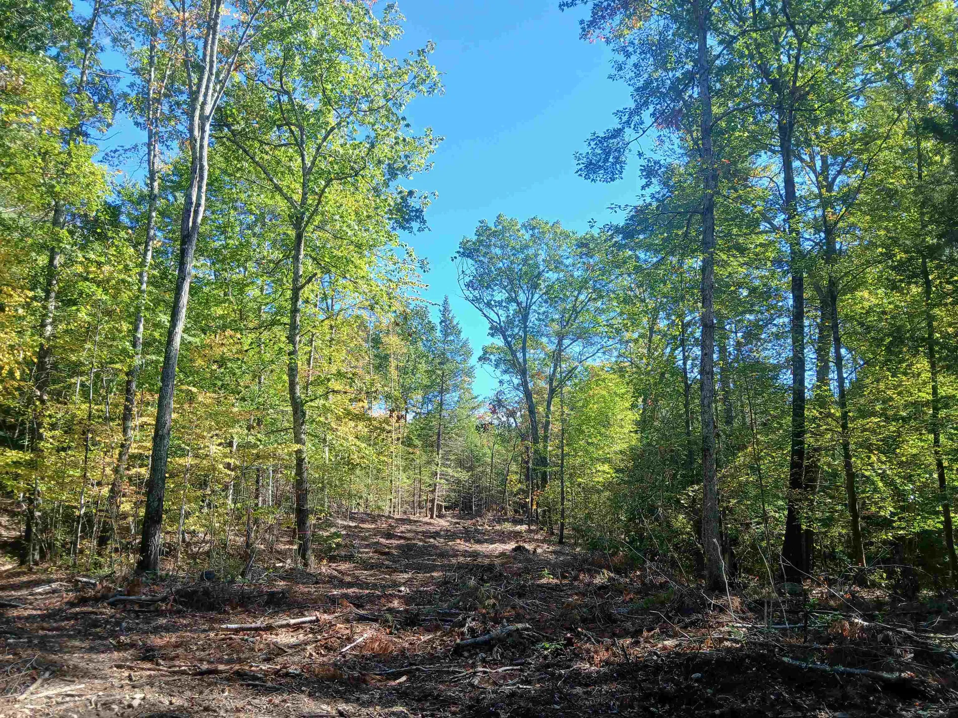 373 Calef Highway Lee NH 03861