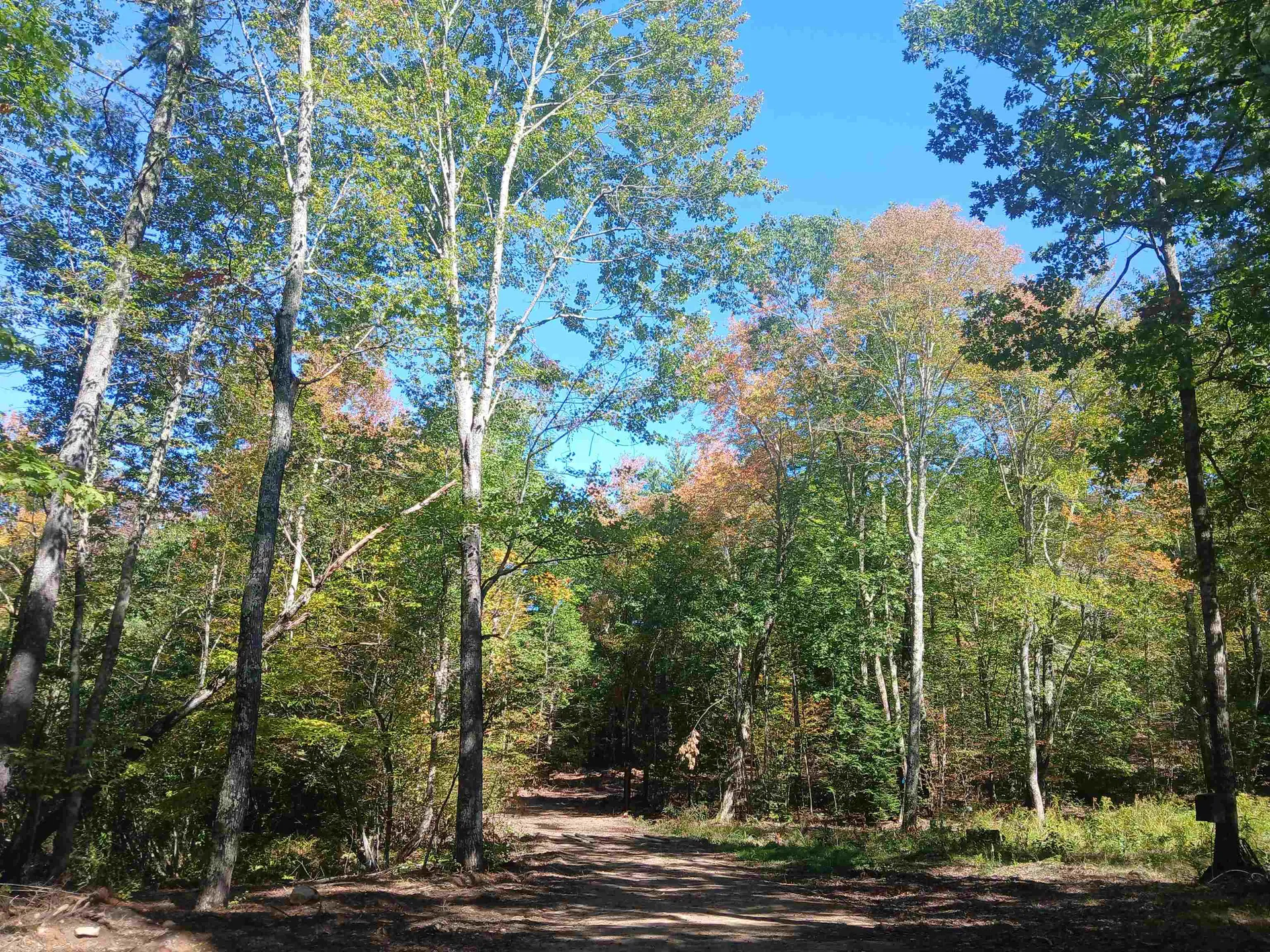 373 Calef Highway Lee NH 03861