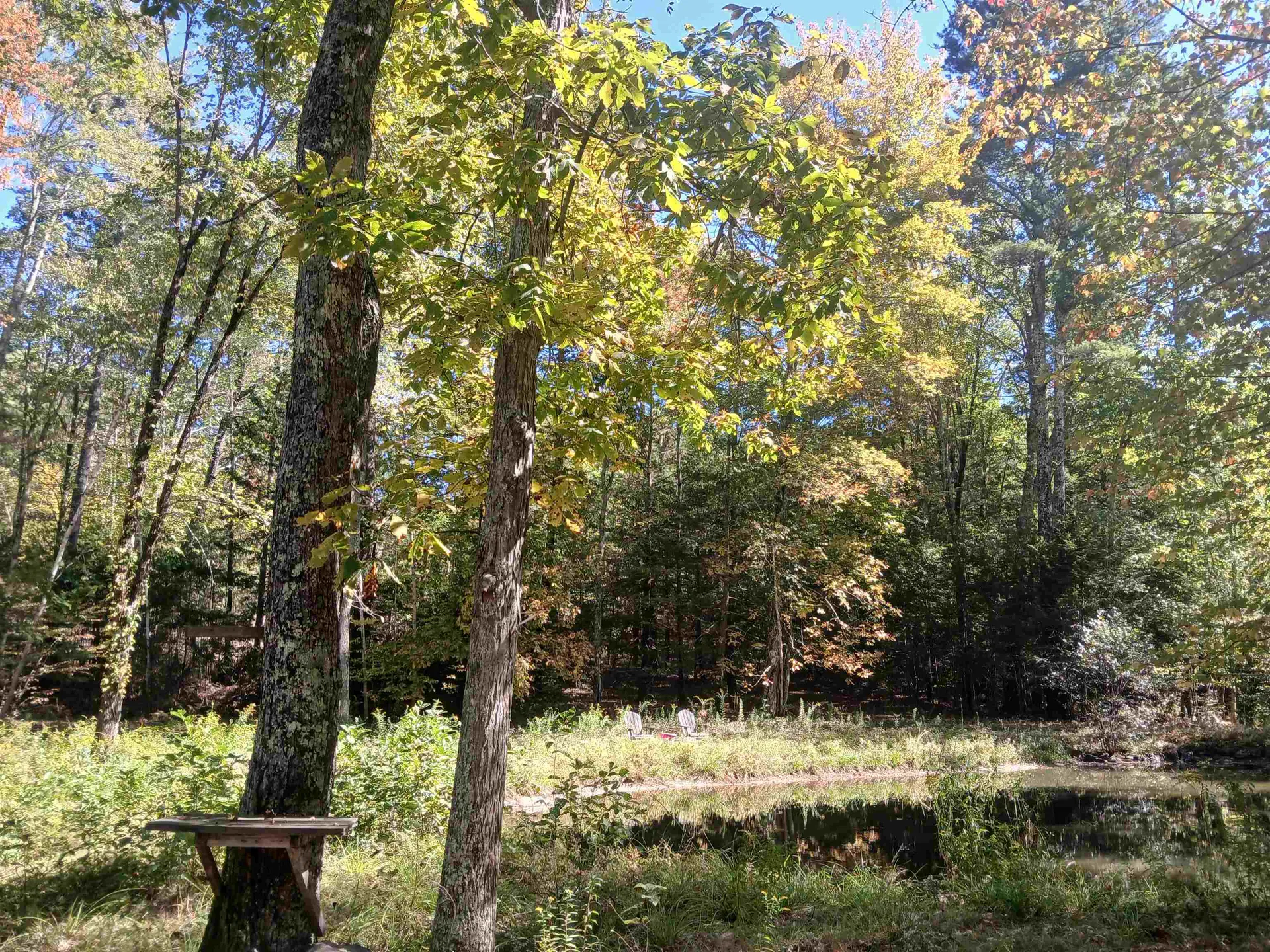 373 Calef Highway Lee NH 03861