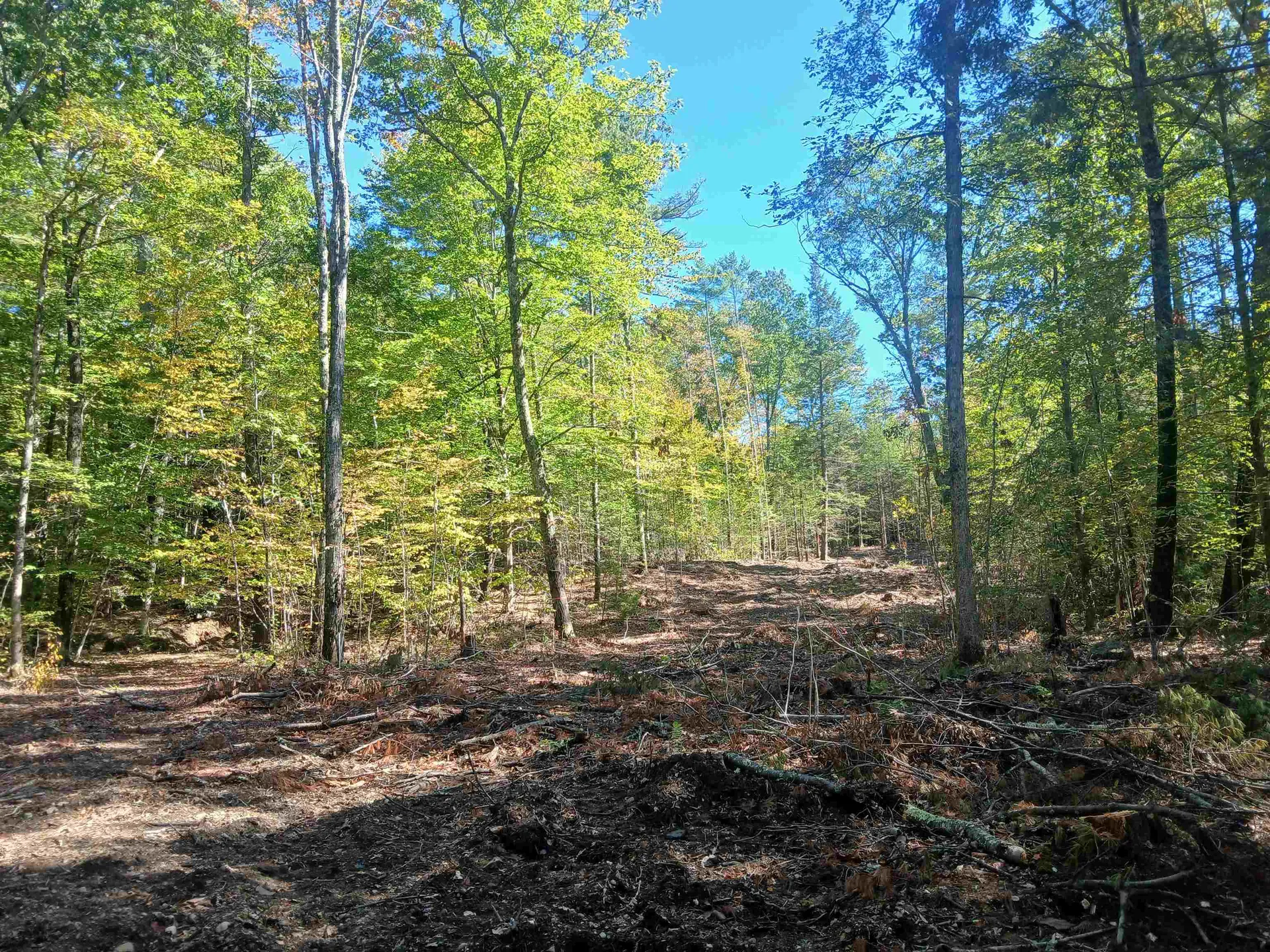 373 Calef Highway Lee NH 03861