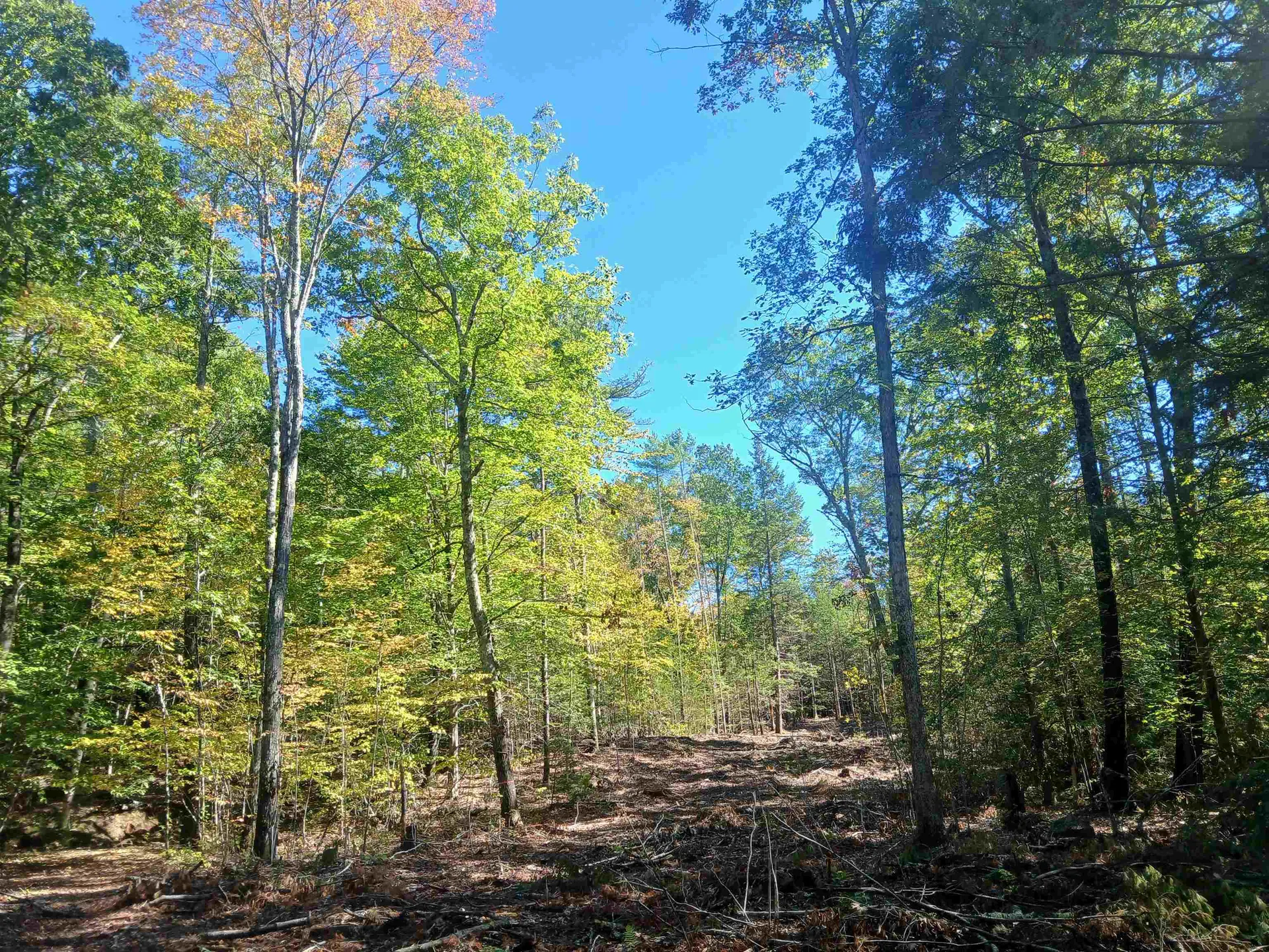 373 Calef Highway Lee NH 03861