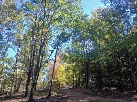 373 Calef Highway Lee NH 03861