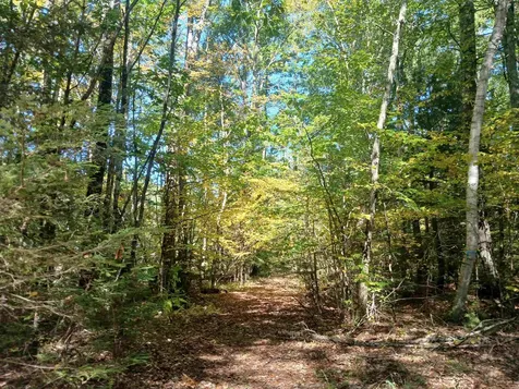 373 Calef Highway Lee NH 03861