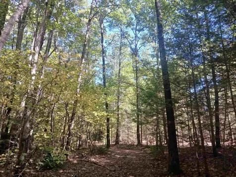 373 Calef Highway Lee NH 03861