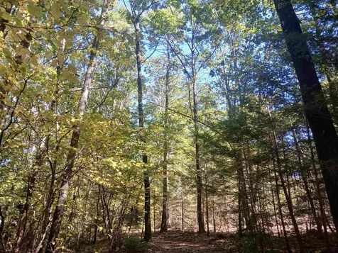 373 Calef Highway Lee NH 03861