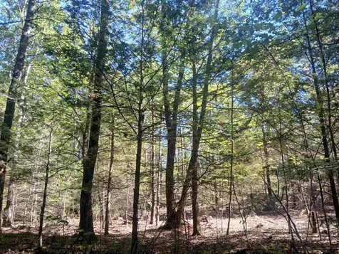 373 Calef Highway Lee NH 03861