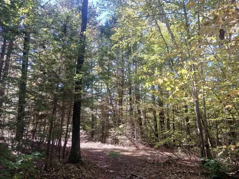 373 Calef Highway Lee NH 03861