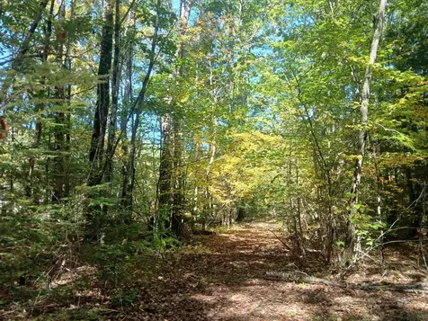 373 Calef Highway Lee NH 03861