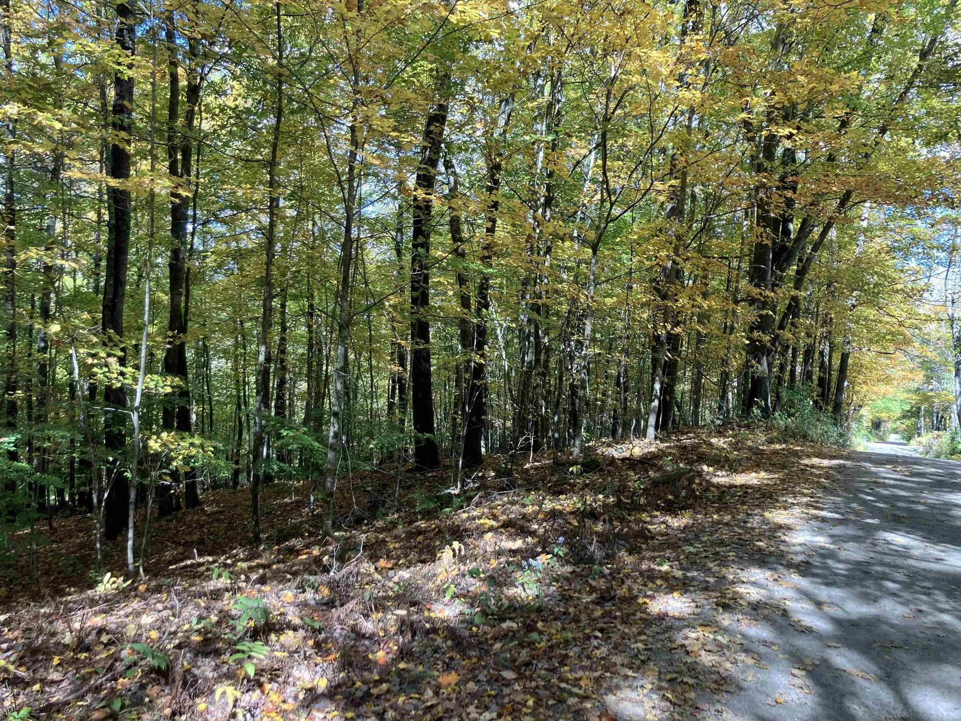 95 Highbridge Road Lyme NH 03768