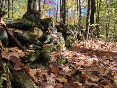 95 Highbridge Road Lyme NH 03768