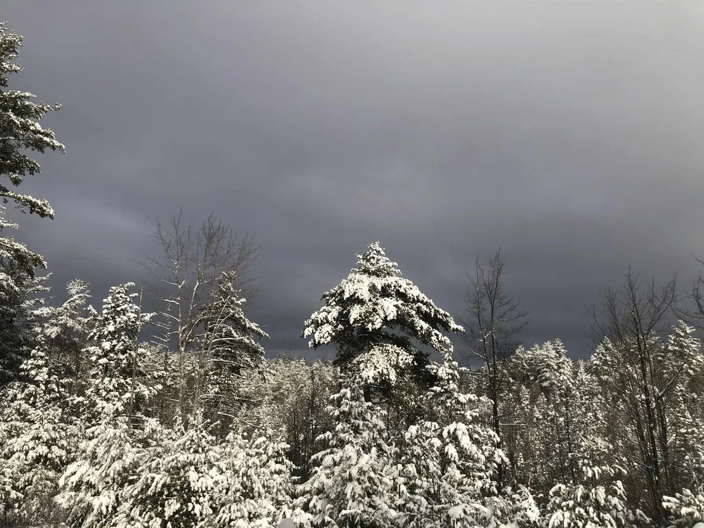 2 Wallace Lane Mont Vernon NH 03057