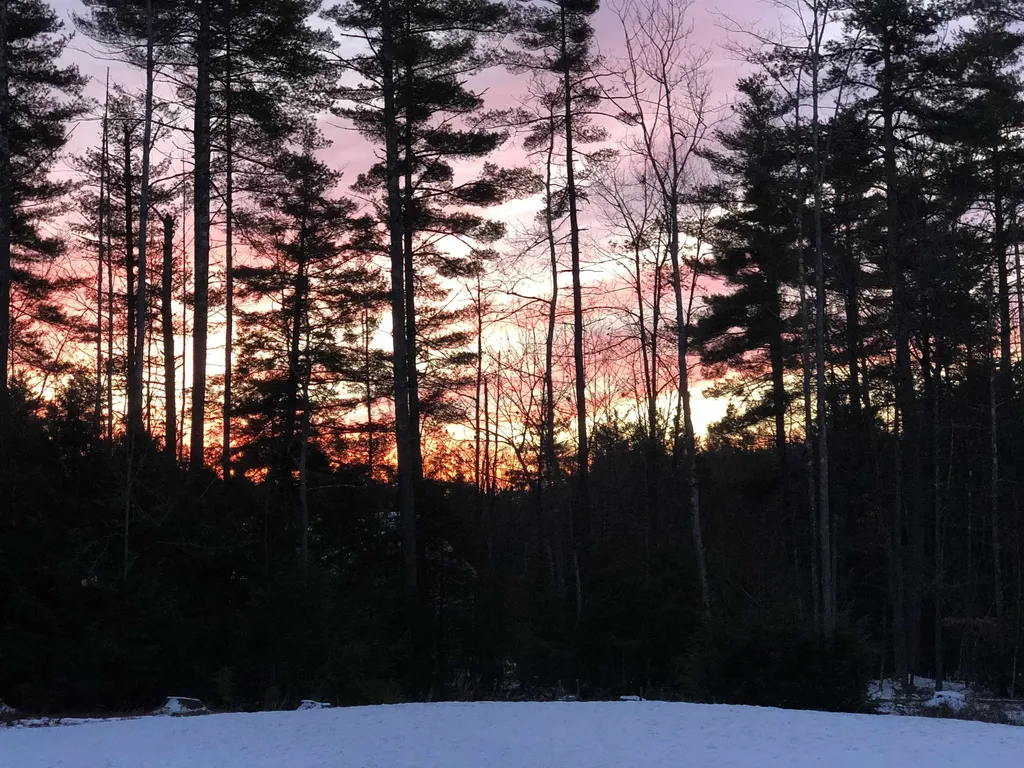 2 Wallace Lane Mont Vernon NH 03057