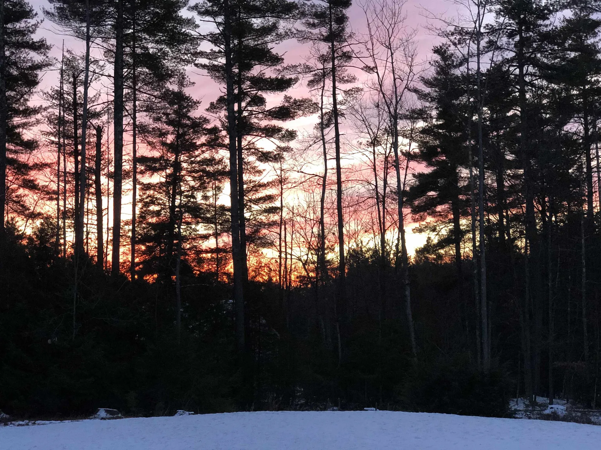 2 Wallace Lane Mont Vernon NH 03057