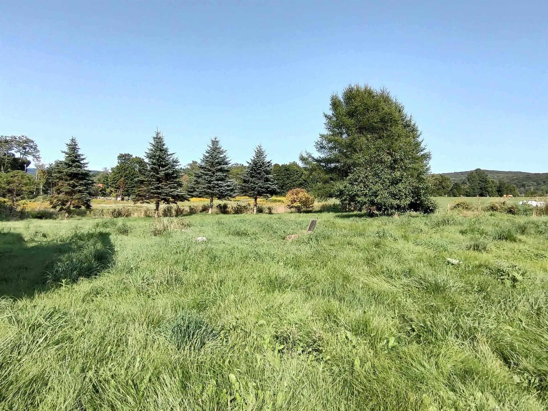 1519 Whittier Hill Road Cabot VT 05647