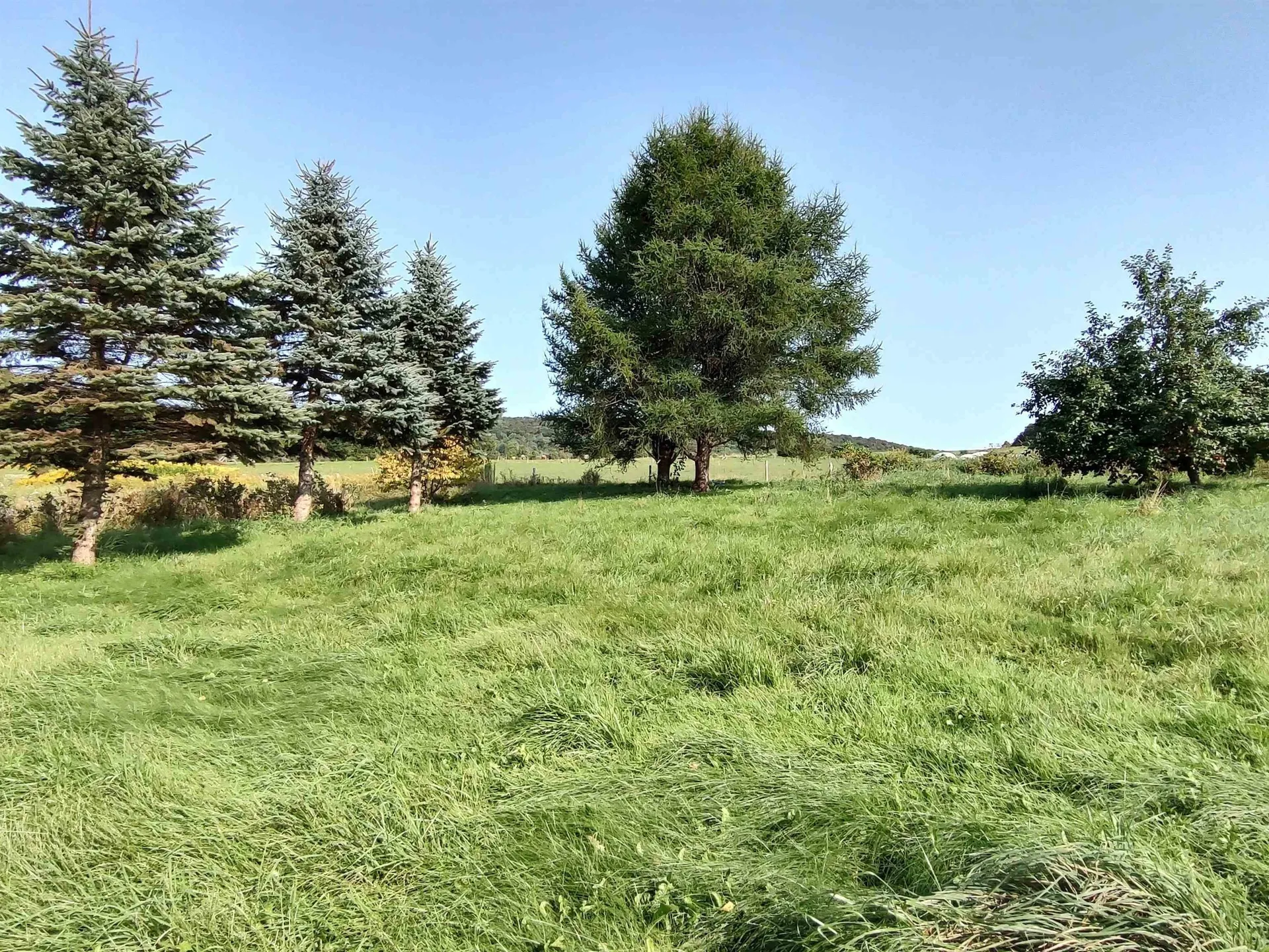 1519 Whittier Hill Road Cabot VT 05647