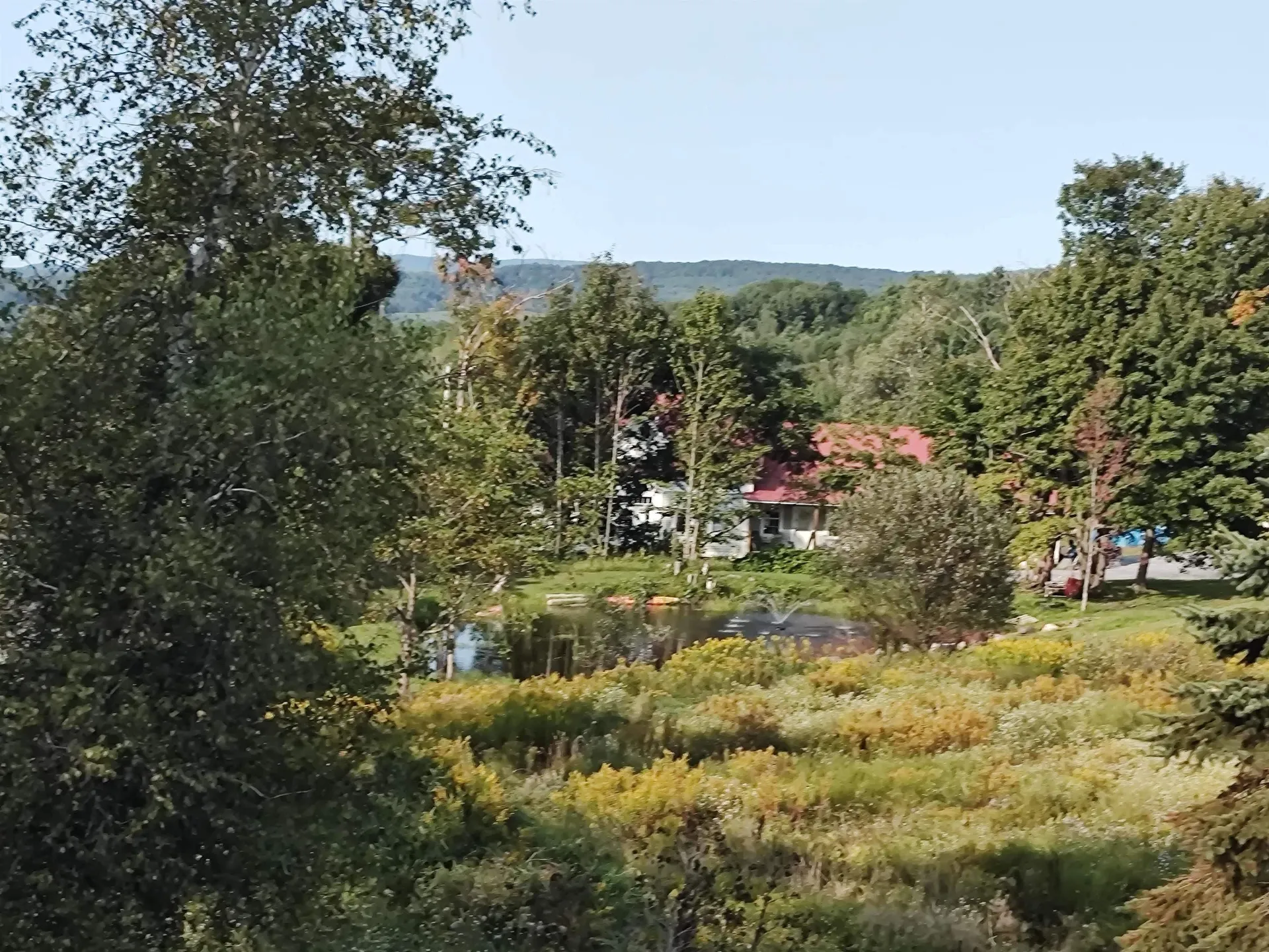 1519 Whittier Hill Road Cabot VT 05647