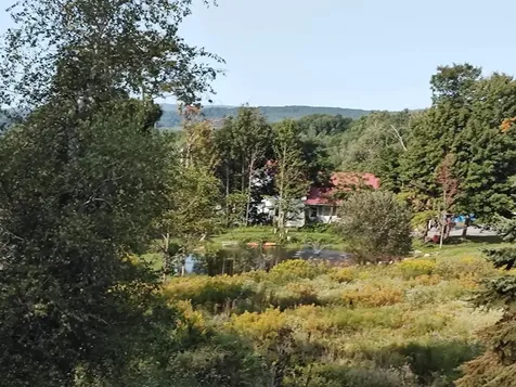 1519 Whittier Hill Road Cabot VT 05647