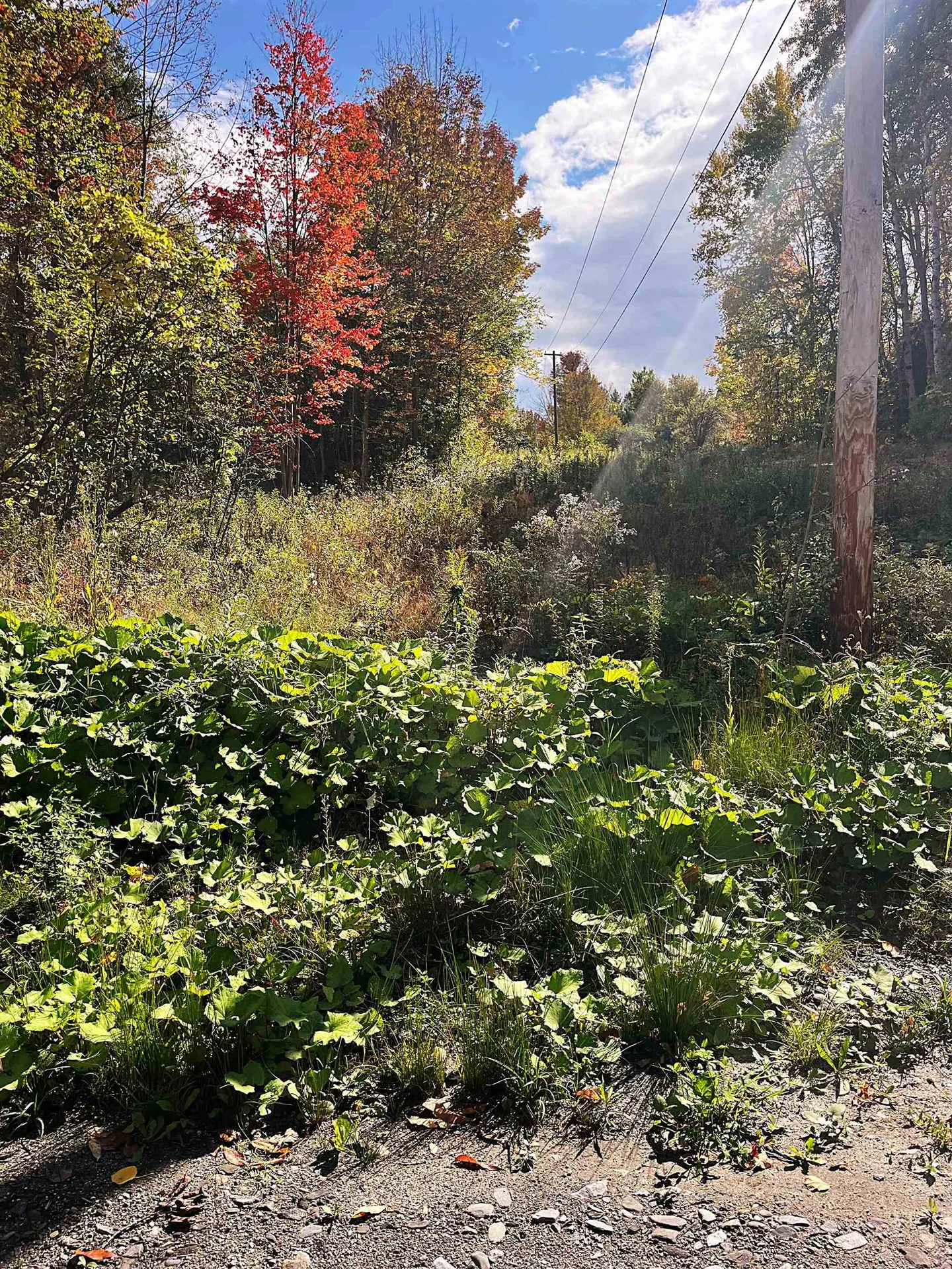 00 Duck Pond Road Barton VT 05822