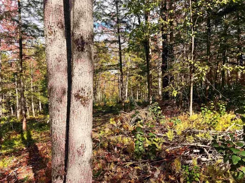 00 Duck Pond Road Barton VT 05822