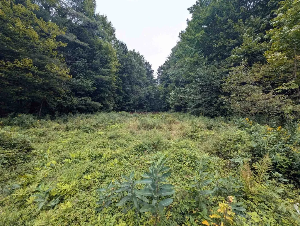 187 East Hill Road Woodbury VT 05681