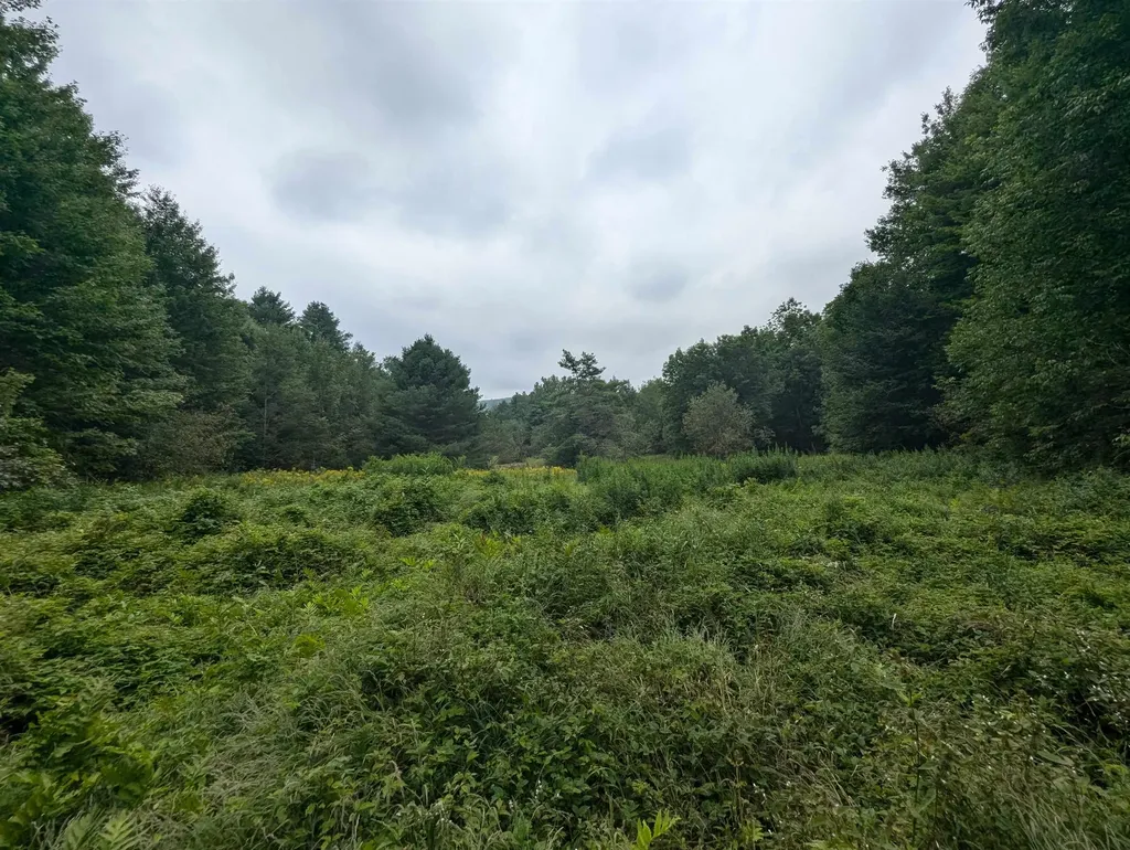 187 East Hill Road Woodbury VT 05681