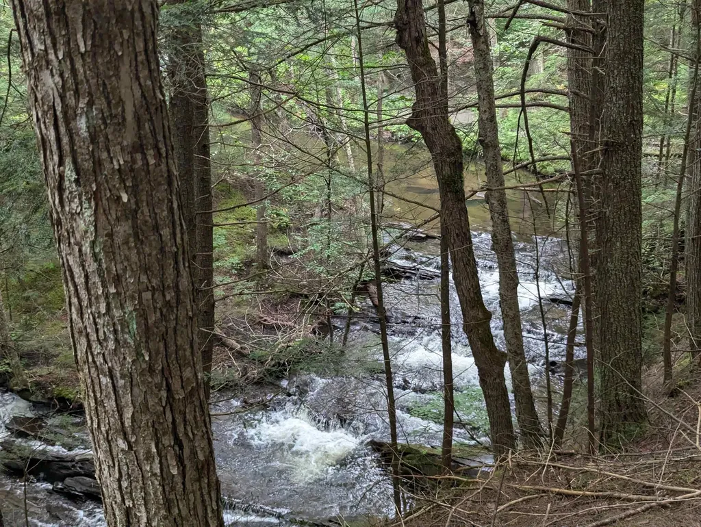 187 East Hill Road Woodbury VT 05681