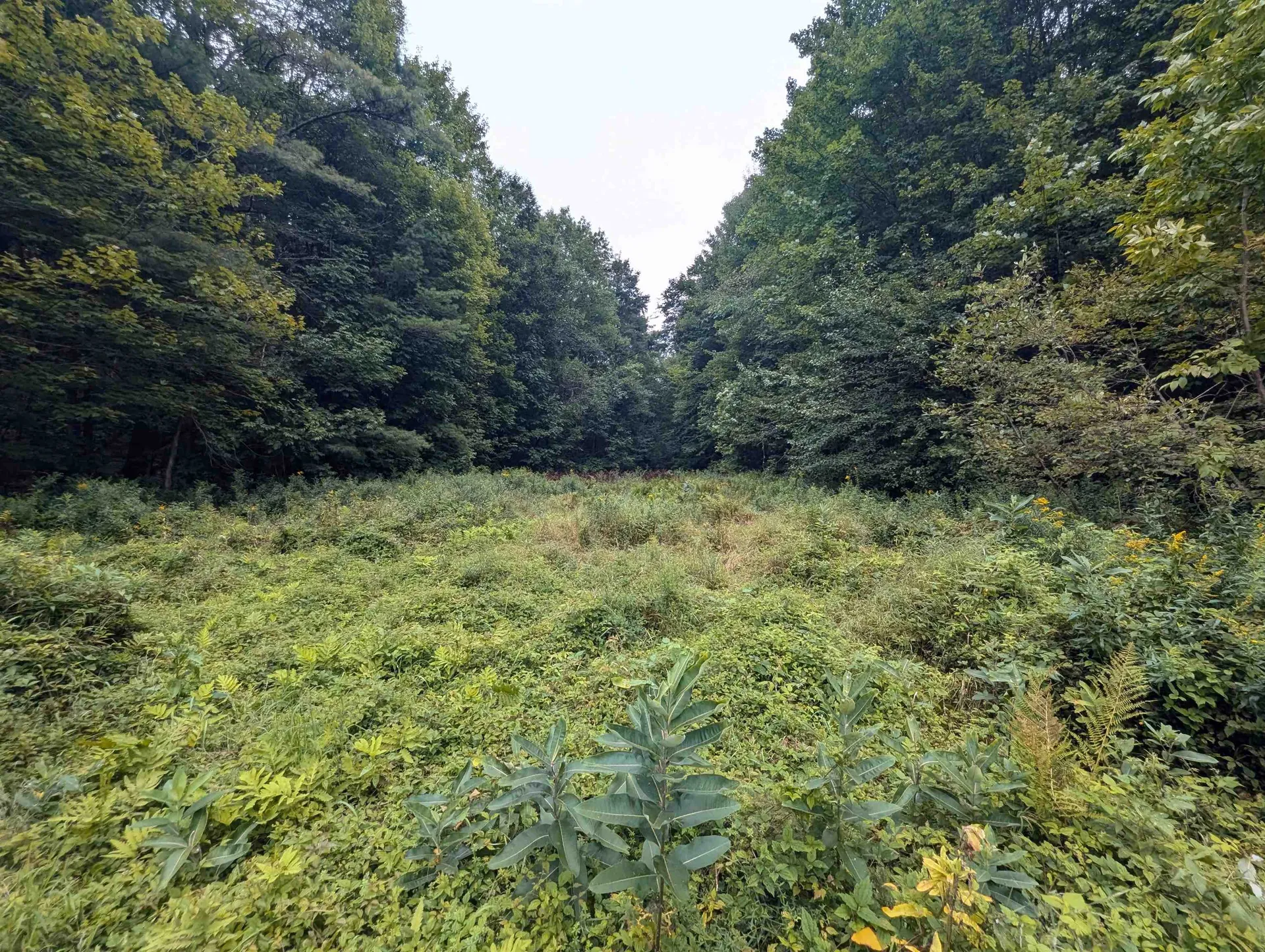 187 East Hill Road Woodbury VT 05681