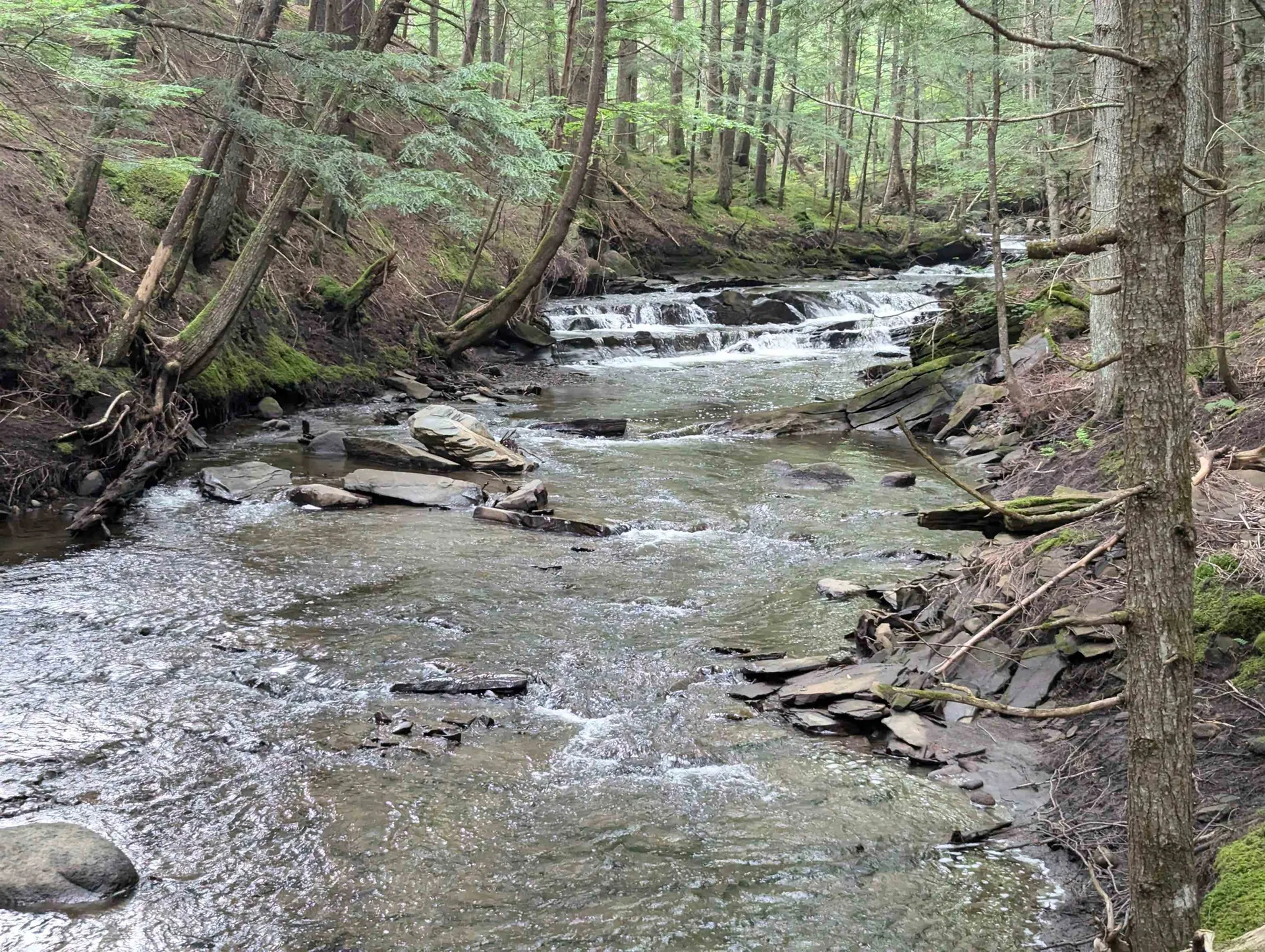 187 East Hill Road Woodbury VT 05681