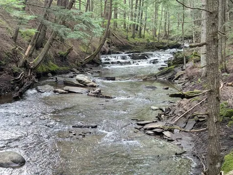 187 East Hill Road Woodbury VT 05681