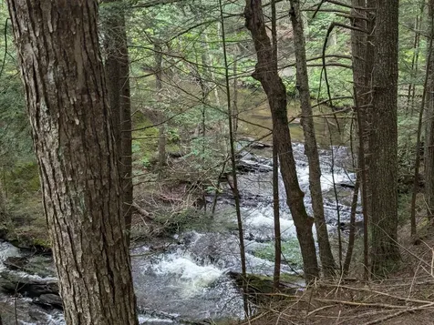 187 East Hill Road Woodbury VT 05681