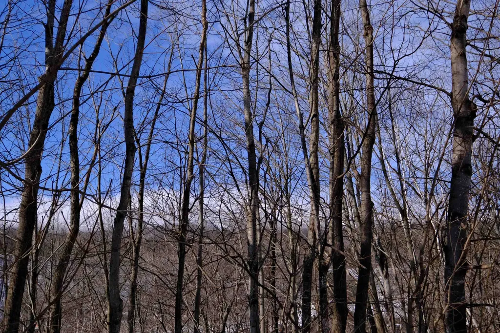 0 Prospect Street Ludlow VT 05149