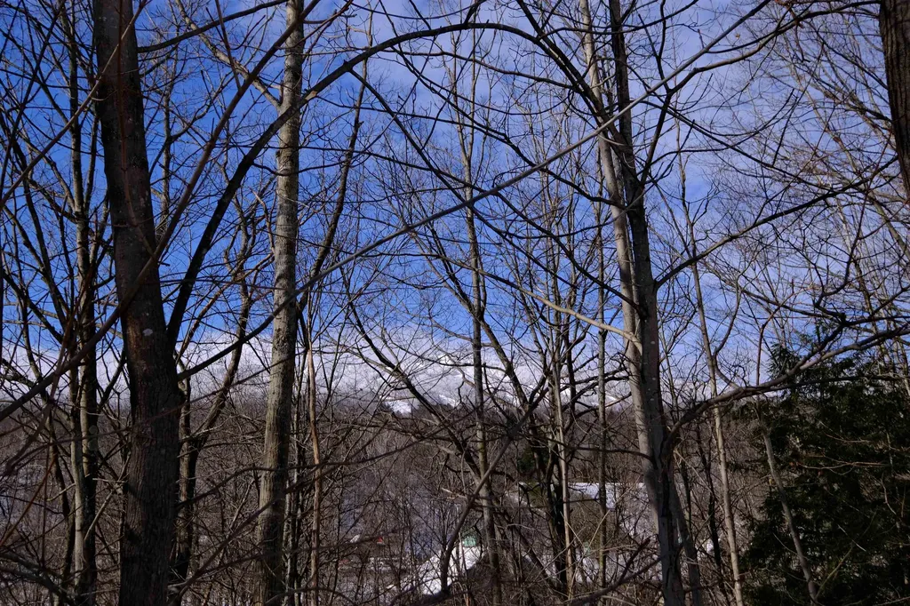 0 Prospect Street Ludlow VT 05149