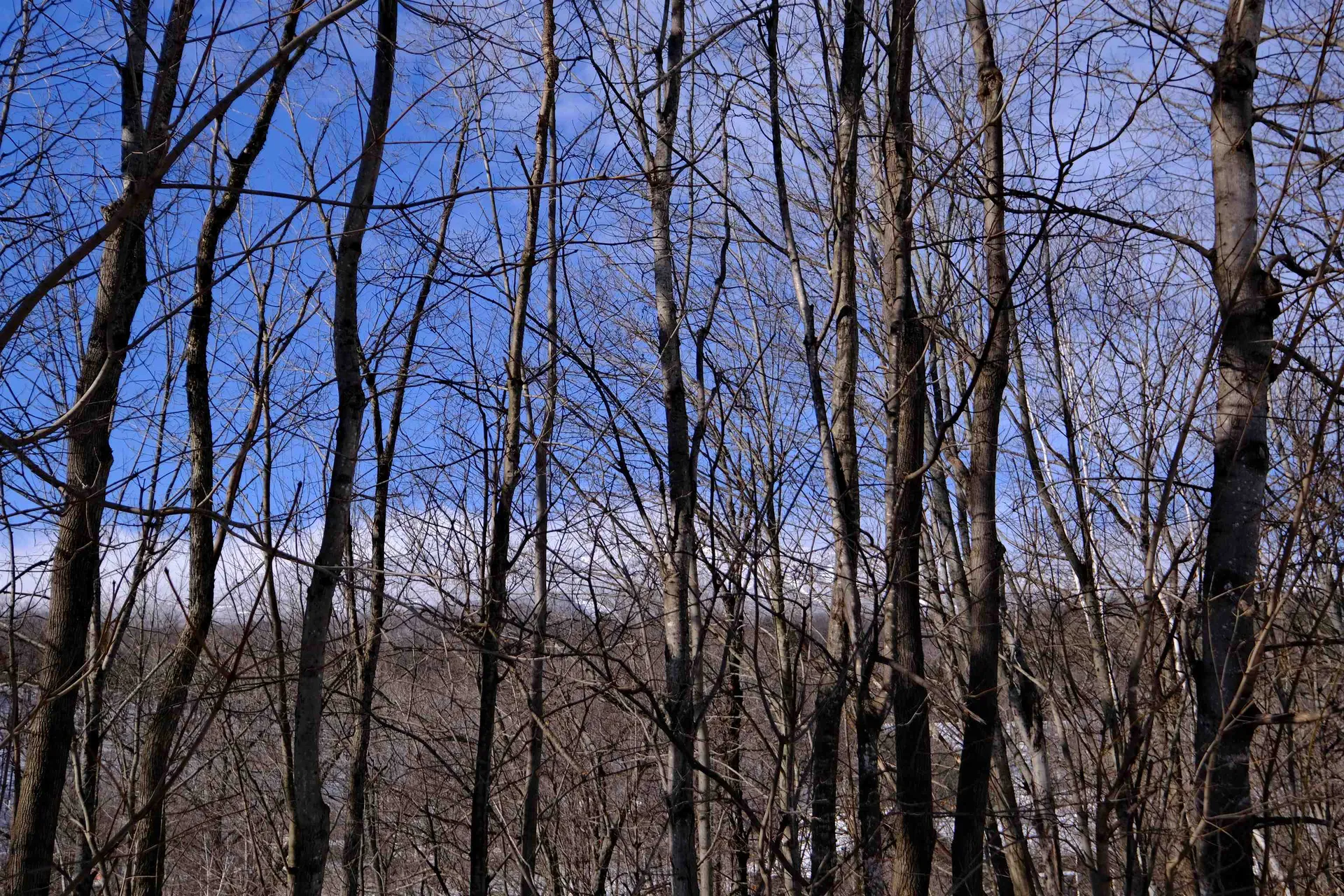 0 Prospect Street Ludlow VT 05149