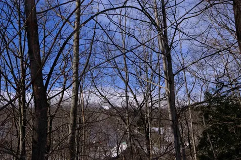 0 Prospect Street Ludlow VT 05149