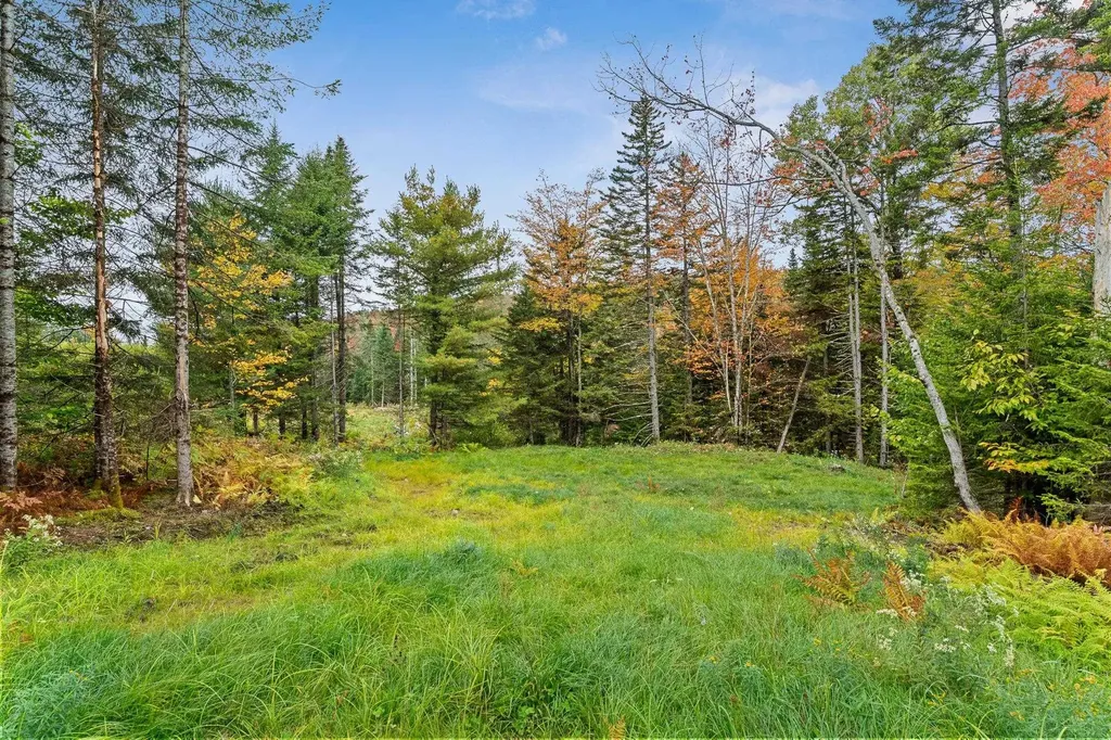 335 Calais Road Worcester VT 05682