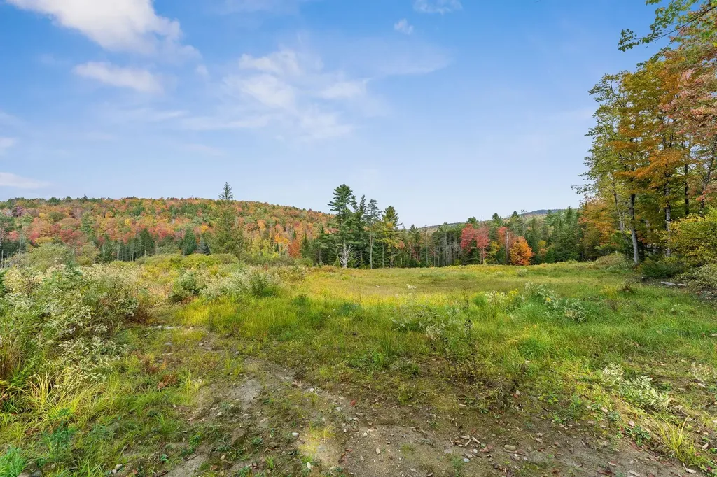 335 Calais Road Worcester VT 05682